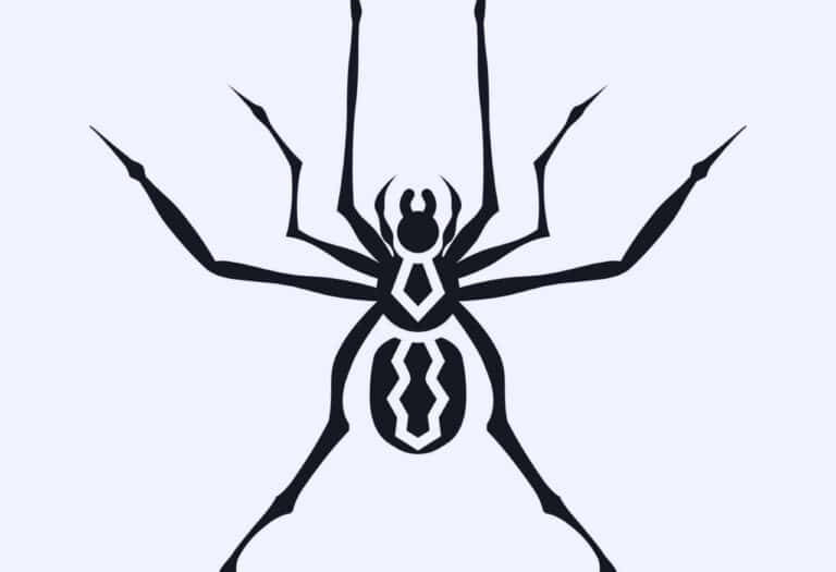 Uma imagem que ilustra uma tatuagem de aranha.