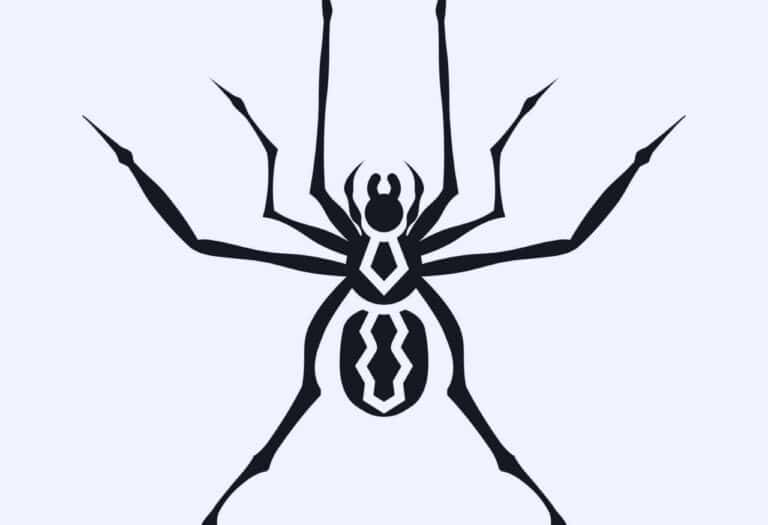Uma imagem que ilustra uma tatuagem de aranha.