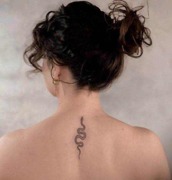 Uma imagem que ilustra uma tatuagem de cobra delicada nas costas.